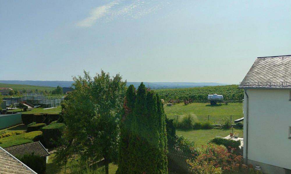 Sehr geflegtes 3-Fam.Haus in Eltville: 2 Wohnungen frei! Garage, ruhige sonnige Weinbergslage