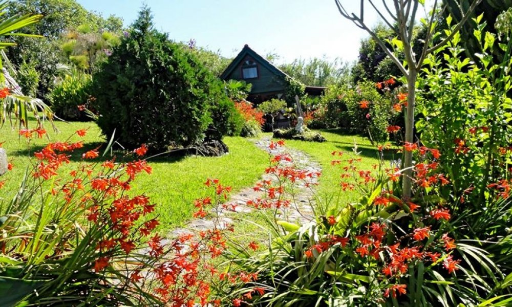 Neue Existenz, Azoren! Traumhafte Ferienanlage, Haupthaus + 3 Ferienhäuser, mediterraner Garten