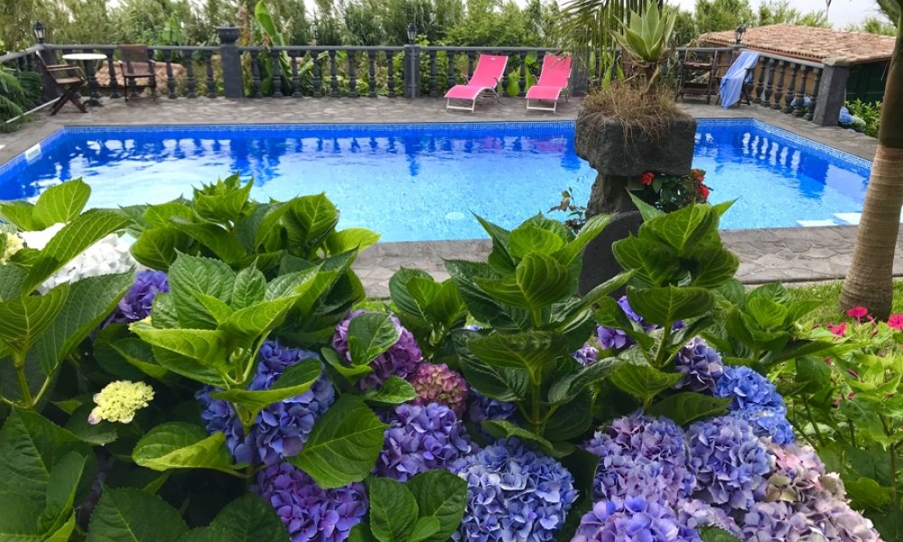 Neue Existenz, Azoren! Traumhafte Ferienanlage, Haupthaus + 3 Ferienhäuser, mediterraner Garten