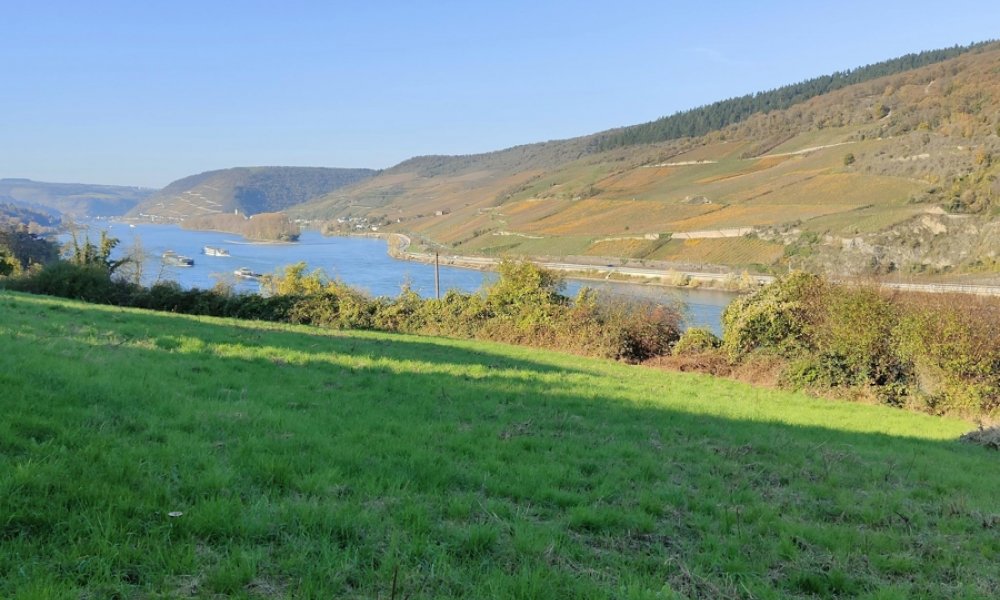 Bau-Grundstück -Bebauungsgrenze-
Traumblick für Ihr neues Zuhause. Nur ca. 20 min. von Bingen