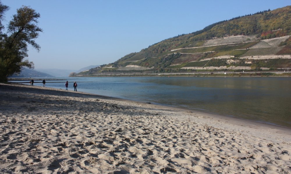 Bau-Grundstück -Bebauungsgrenze-
Traumblick für Ihr neues Zuhause. Nur ca. 20 min. von Bingen