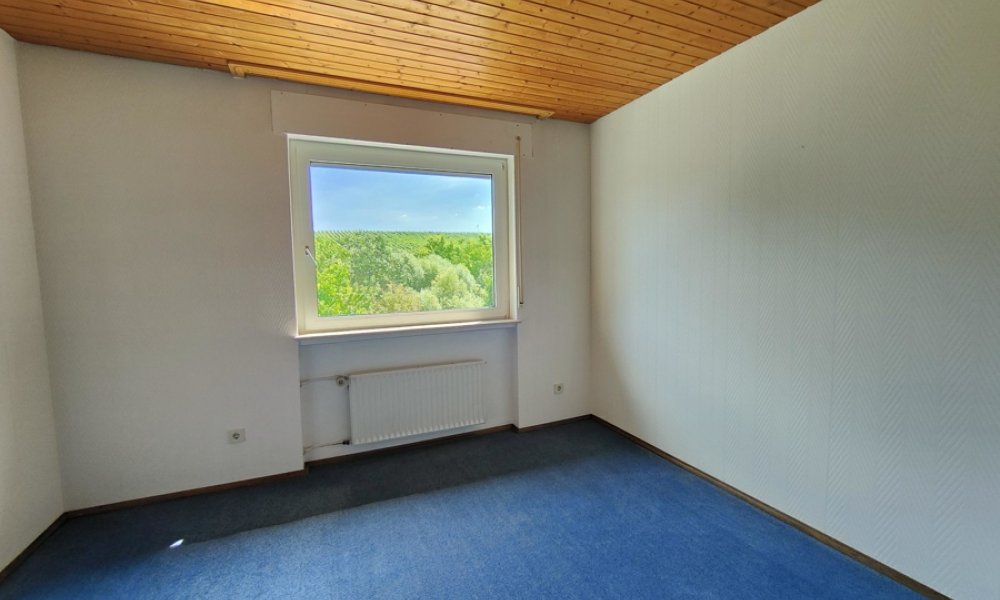 Großzügiges EFH, herrlicher Garten, 2 Garagen in idyllischer Weinbergslage von Eltville-Hattenheim