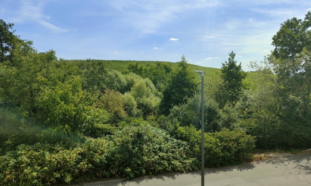 Großzügiges EFH, herrlicher Garten, 2 Garagen in idyllischer Weinbergslage von Eltville-Hattenheim