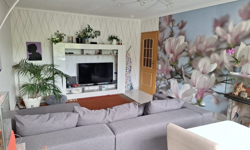 Wohnen im Rheingau: Ehemaliges Weingut mit Garten und Naturblick