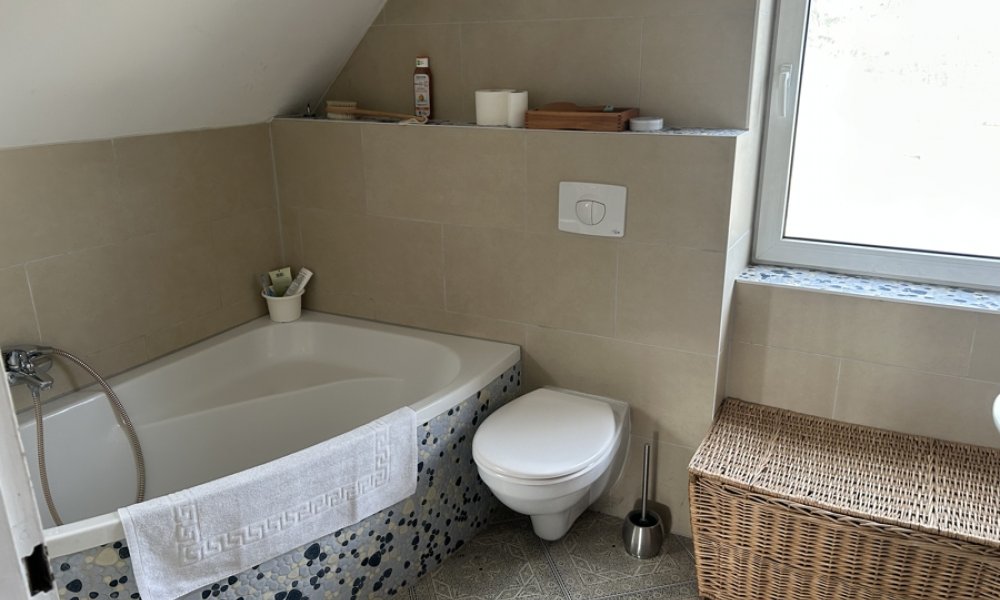 Charmantes Einfamilienhaus in gutem Zustand auf weitläufigem Grundstück in Mainz-Budenheim