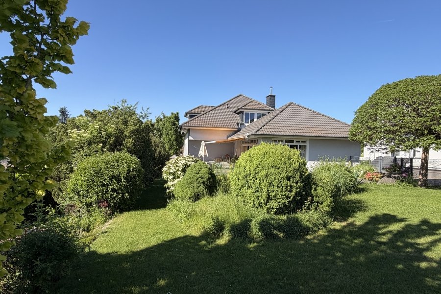 Garten mit Blick aufs Haus
